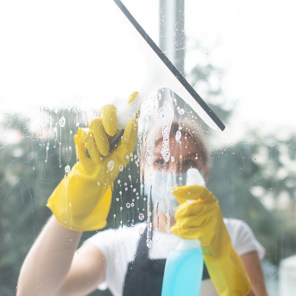 Exterior Window Cleaning